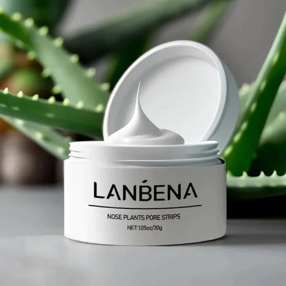 LANBENA nose plants pore strips jar with aloe vera plant in the background